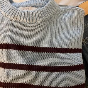 LOFT Light Blue Sweater with Dark Brown Stripes